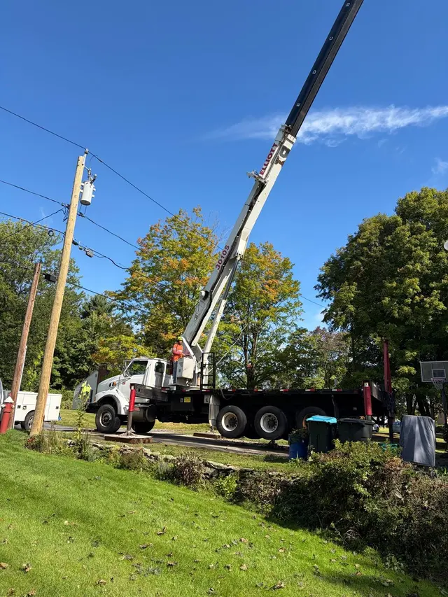 Adam's Tree Service — photo from the business 2
