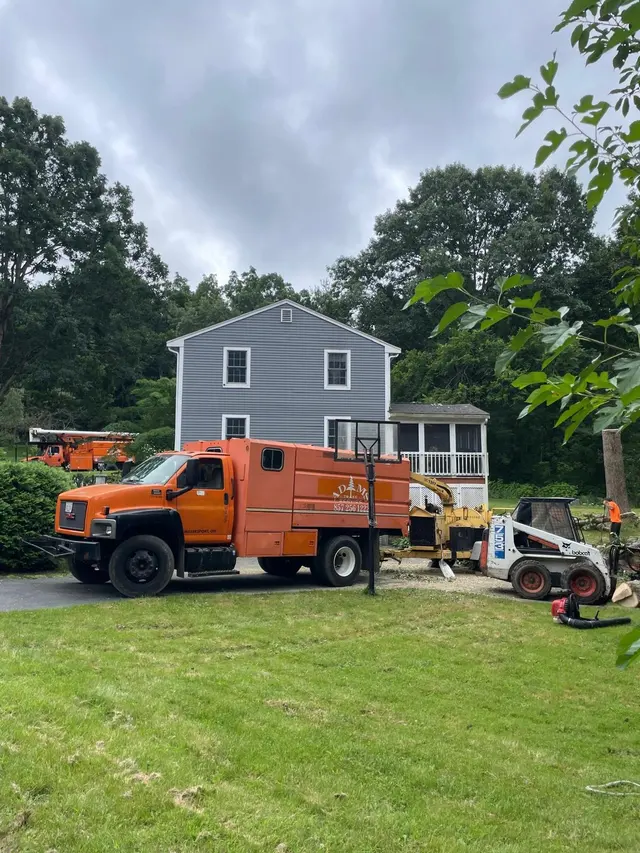 Adam's Tree Service — photo from the business 6