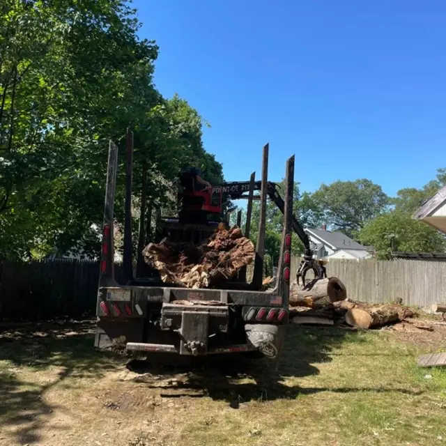 Adam's Tree Service — photo from the business 8