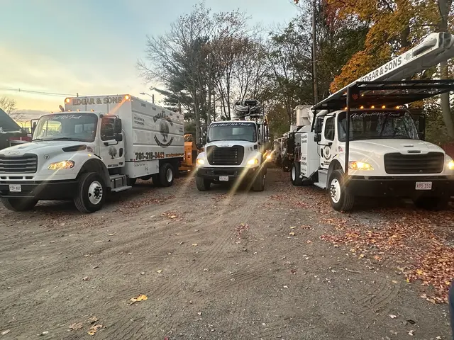 Edgar and Sons Tree Service — photo from the business 1