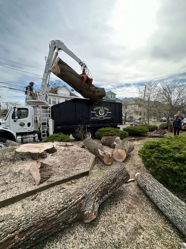 Edgar and Sons Tree Service — customer photo 12