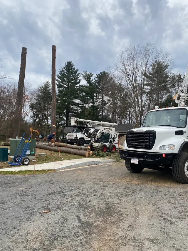Edgar and Sons Tree Service — photo from the business 10