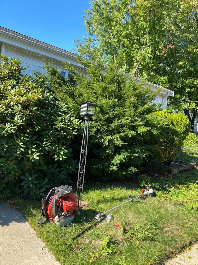 Edgar and Sons Tree Service — photo from the business 3