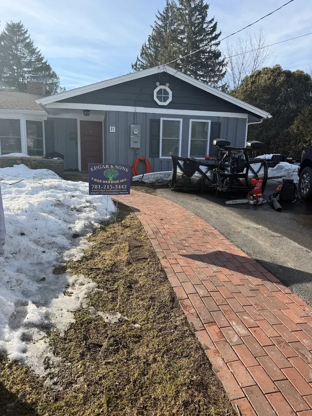 Edgar and Sons Tree Service — photo from the business 5
