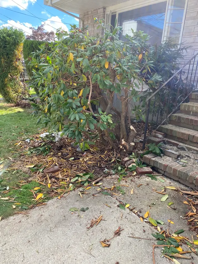 Edgar and Sons Tree Service — photo from the business 8