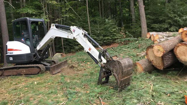 Branch Manager Tree Service — photo from the business 1