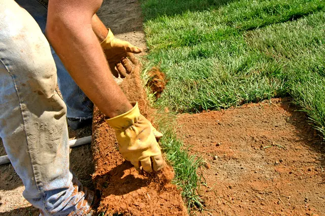 Big Beaver Stump Grinding — photo from the business 9