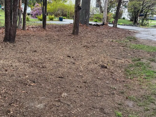 Customer photo of work by Big Beaver Stump Grinding, from Emelie Perry's review