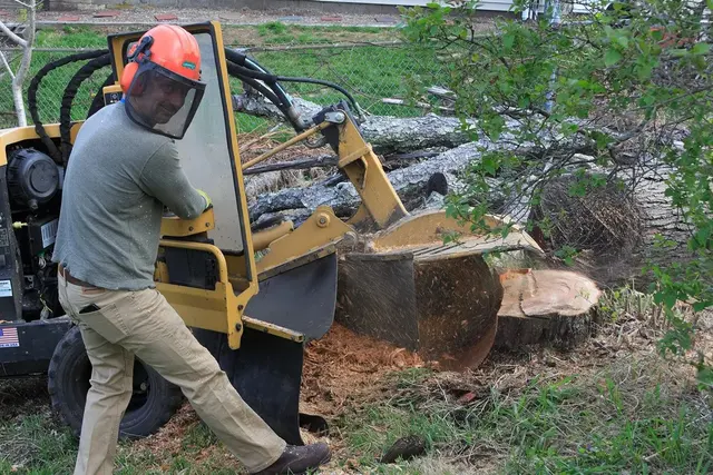 Big Beaver Stump Grinding — photo from the business 1