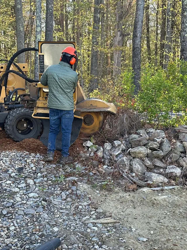 Customer photo of work by Big Beaver Stump Grinding, from John Sullivan's review