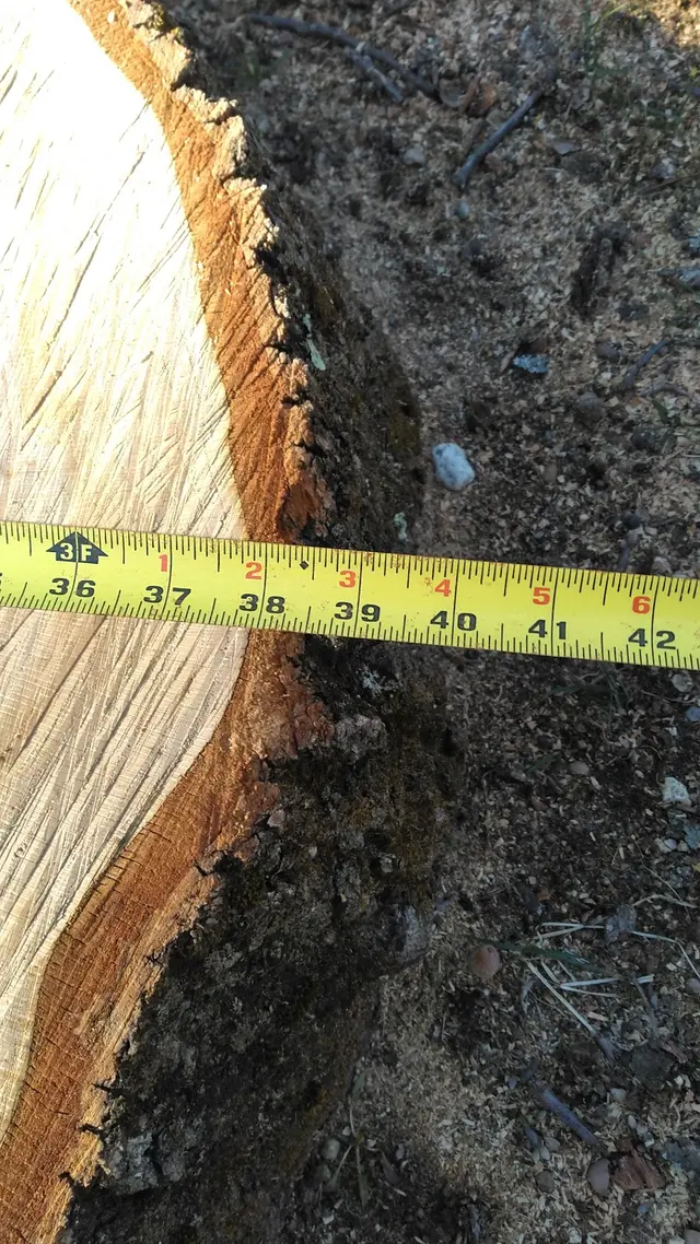 Big Beaver Stump Grinding — photo from the business 11