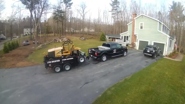 Big Beaver Stump Grinding — photo from the business 7