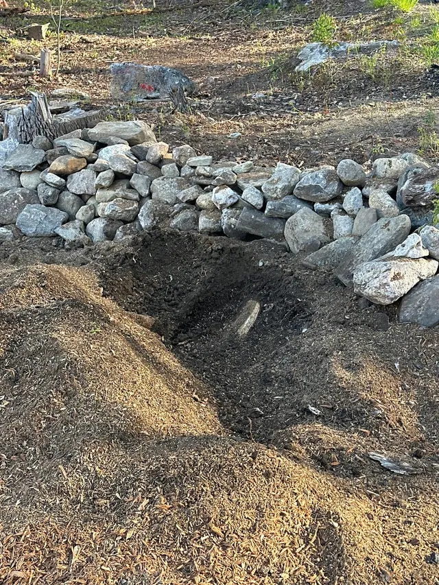 Customer photo of work by Big Beaver Stump Grinding, from John Sullivan's review