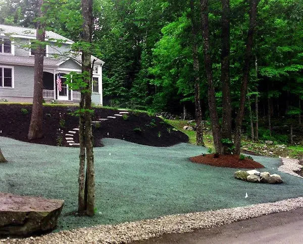 Big Beaver Stump Grinding — photo from the business 8