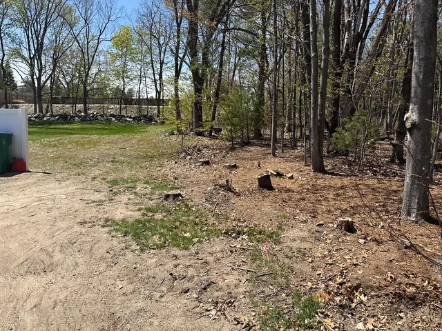 Customer photo of work by Big Beaver Stump Grinding, from Emelie Perry's review