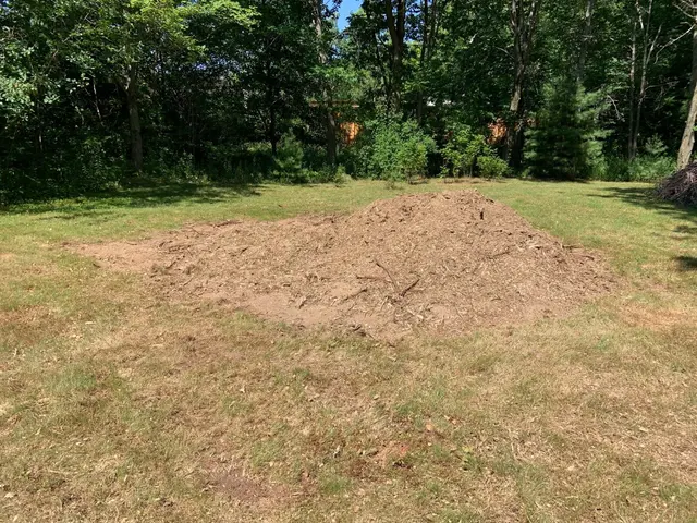 Big Beaver Stump Grinding — customer photo 3