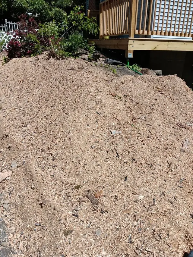 Big Beaver Stump Grinding — photo from the business 2