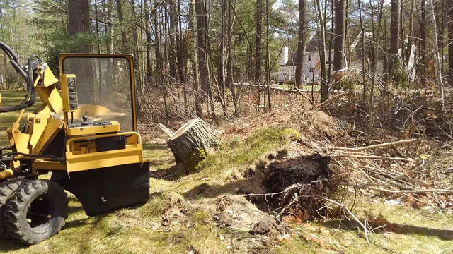 Big Beaver Stump Grinding — photo from the business 6