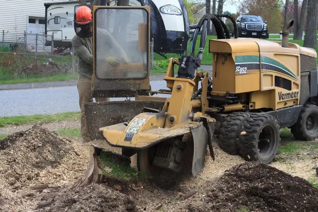 Big Beaver Stump Grinding — photo from the business 4