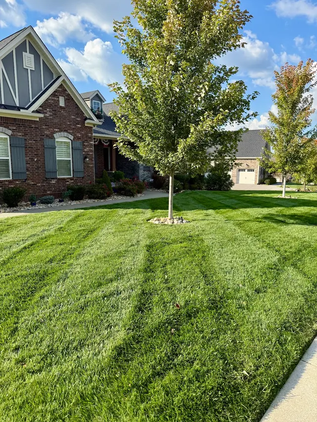 Nashville Irrigation & Lighting, LLC — customer photo 9