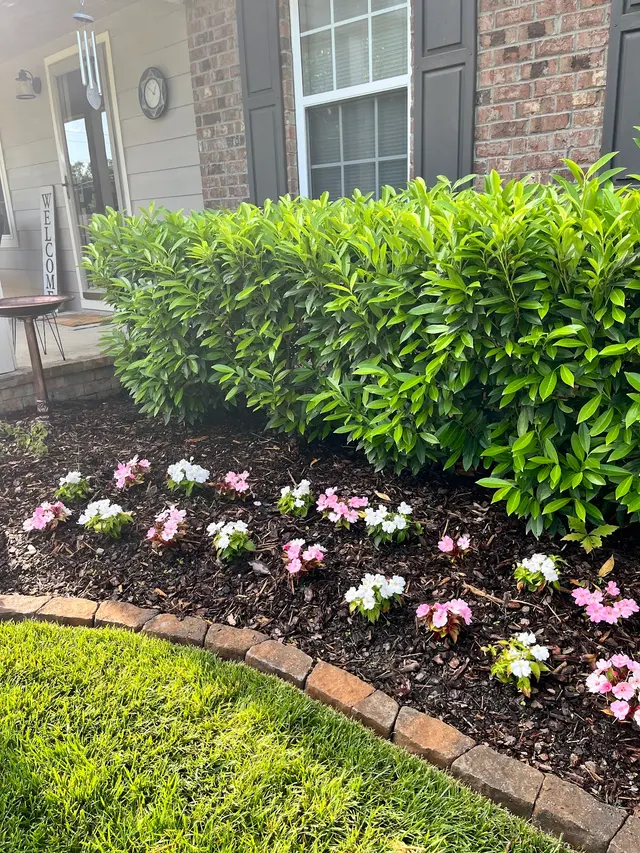 Customer photo from shirley's review