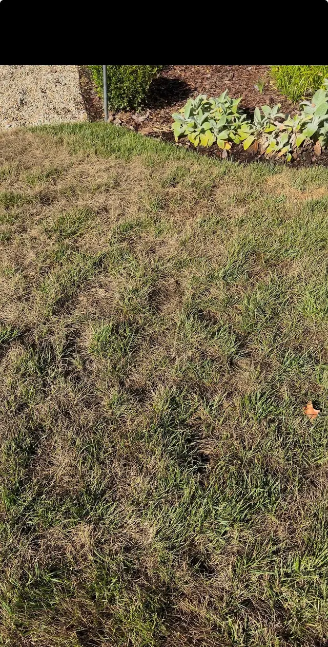 Customer photo of work by Goodin Lawncare, from Aubrey Michael's review