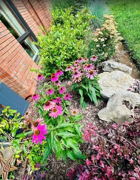 Goodin Lawncare — photo from the business 6
