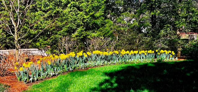 Goodin Lawncare — photo from the business 10