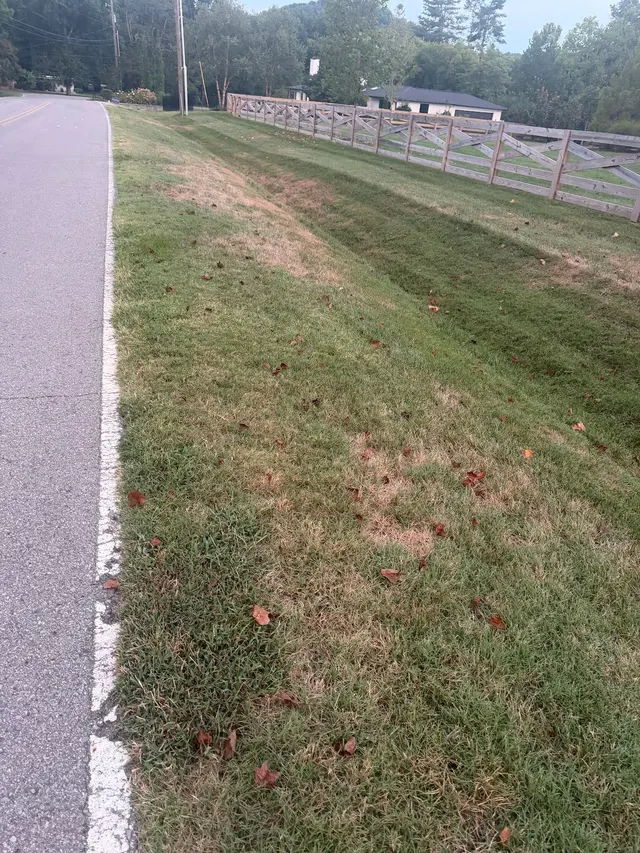 Customer photo of work by Goodin Lawncare, from Aubrey Michael's review