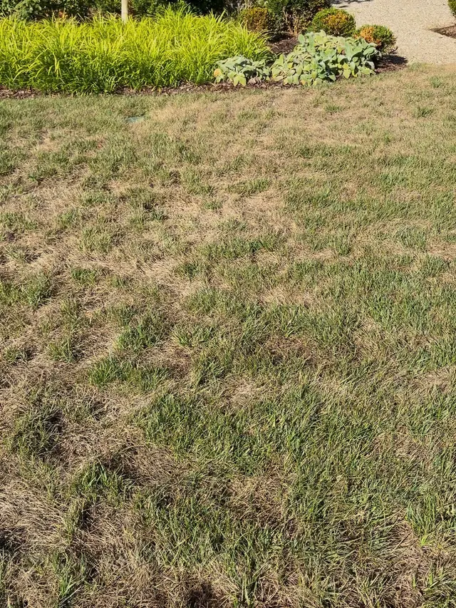 Goodin Lawncare — customer photo 12