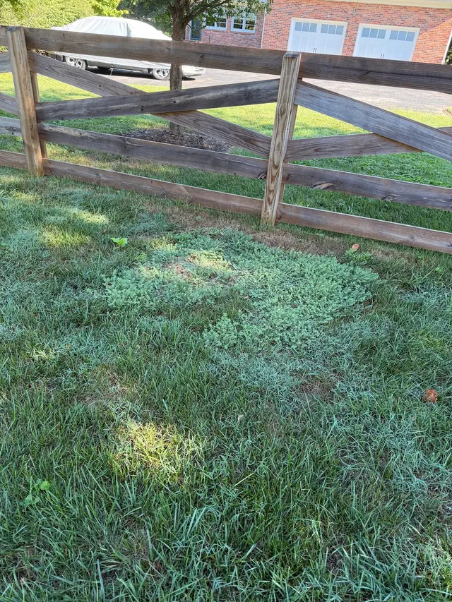 Customer photo of work by Goodin Lawncare, from Aubrey Michael's review