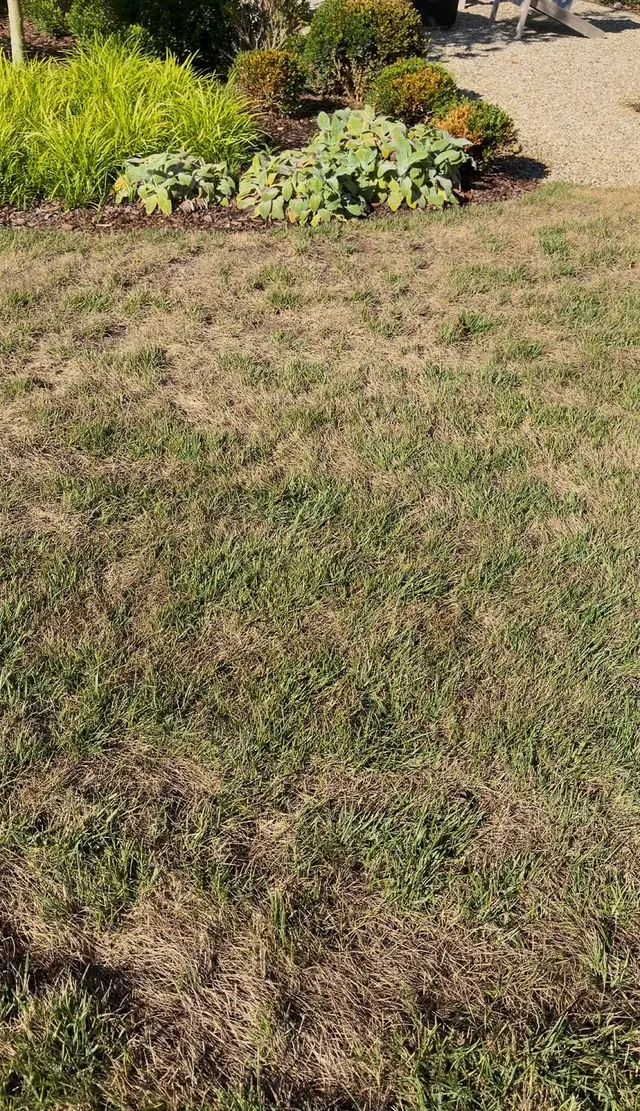 Customer photo of work by Goodin Lawncare, from Aubrey Michael's review