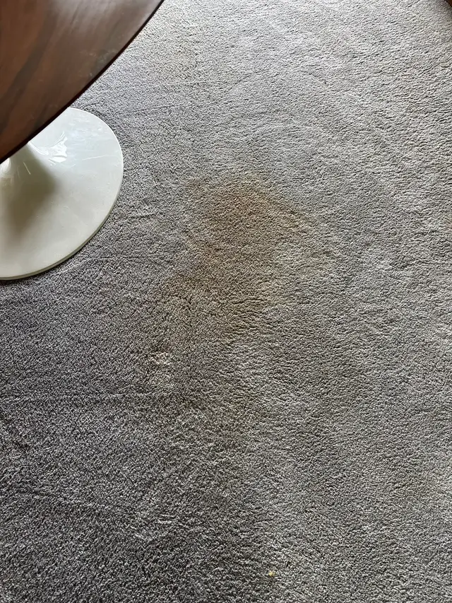 Crystal Image Cleaning Inc. — customer photo 11