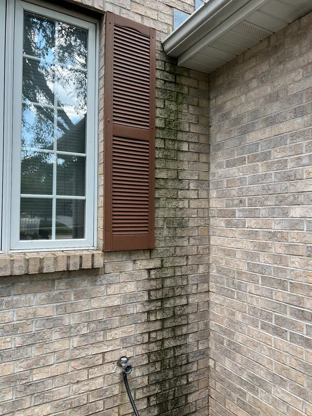 Dot Exterior Cleaning — photo from the business 6