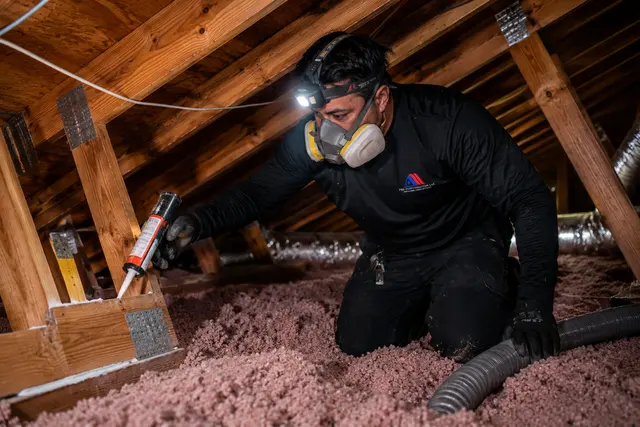 Pro Elite Insulation LLC — photo from the business 3