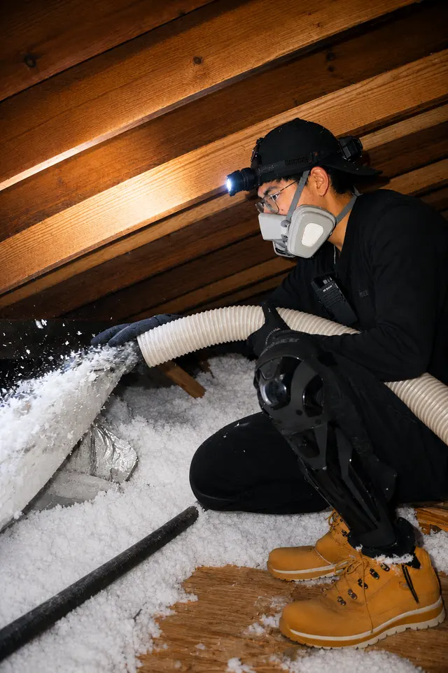 Pro Elite Insulation LLC — photo from the business 6