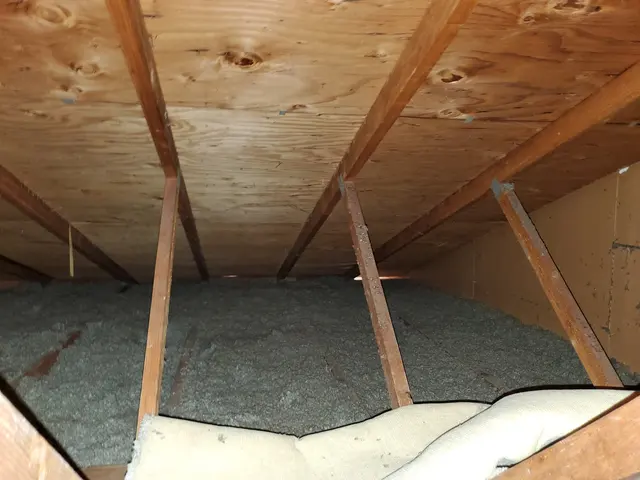 Attic Insulation Plus — photo from the business 9