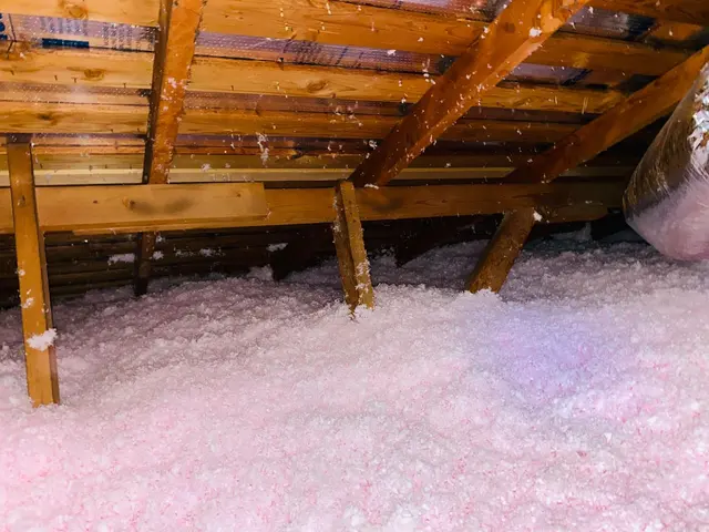 Attic Insulation Plus — photo from the business 5