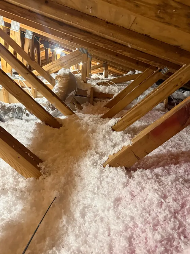 Attic Insulation Plus — customer photo 3