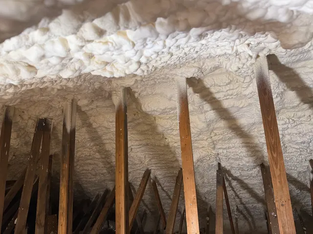 Smart Home Insulation and Attic insulation — photo from the business 3