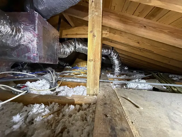 Customer photo of work by Smart Home Insulation and Attic insulation, from Carlos Primelles's review