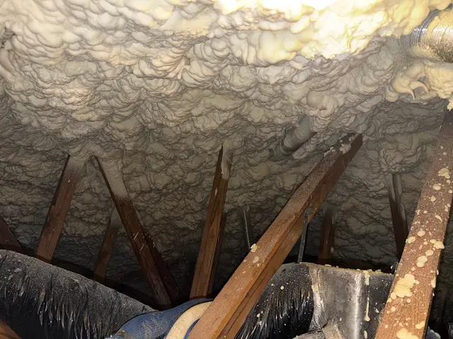 Smart Home Insulation and Attic insulation — photo from the business 11