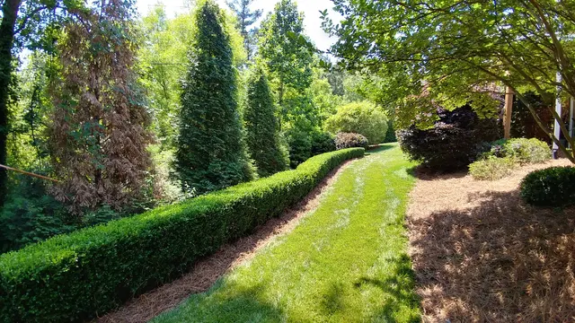 Wake Pro Lawn Care — photo from the business 5