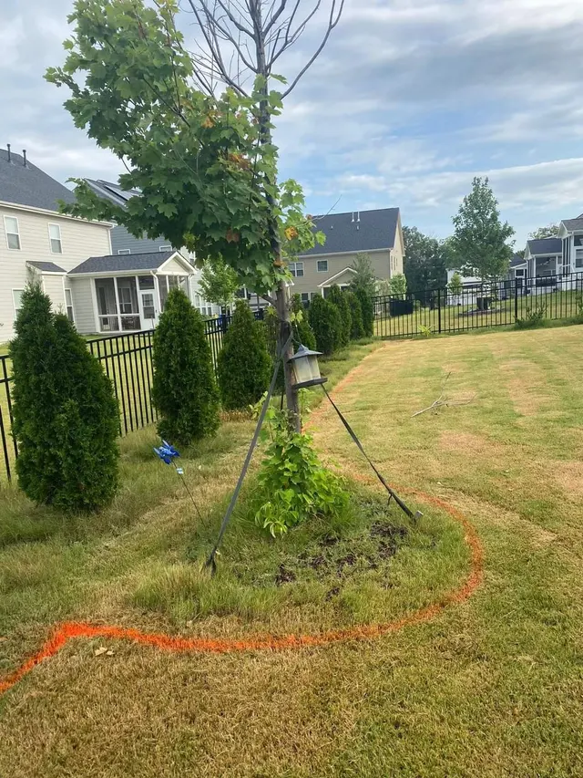 Ramirez general landscaping — photo from the business 12