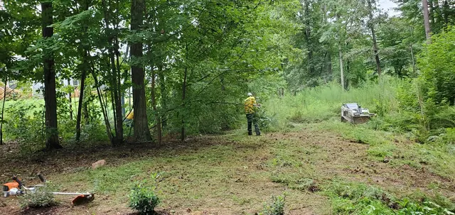 Ramirez general landscaping — photo from the business 11