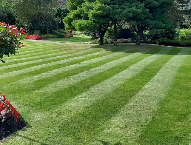 Envision Landscaping — customer photo 1