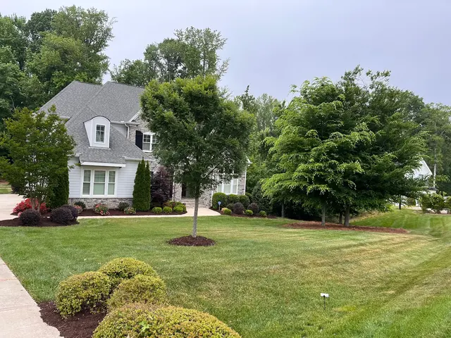 Envision Landscaping — photo from the business 9