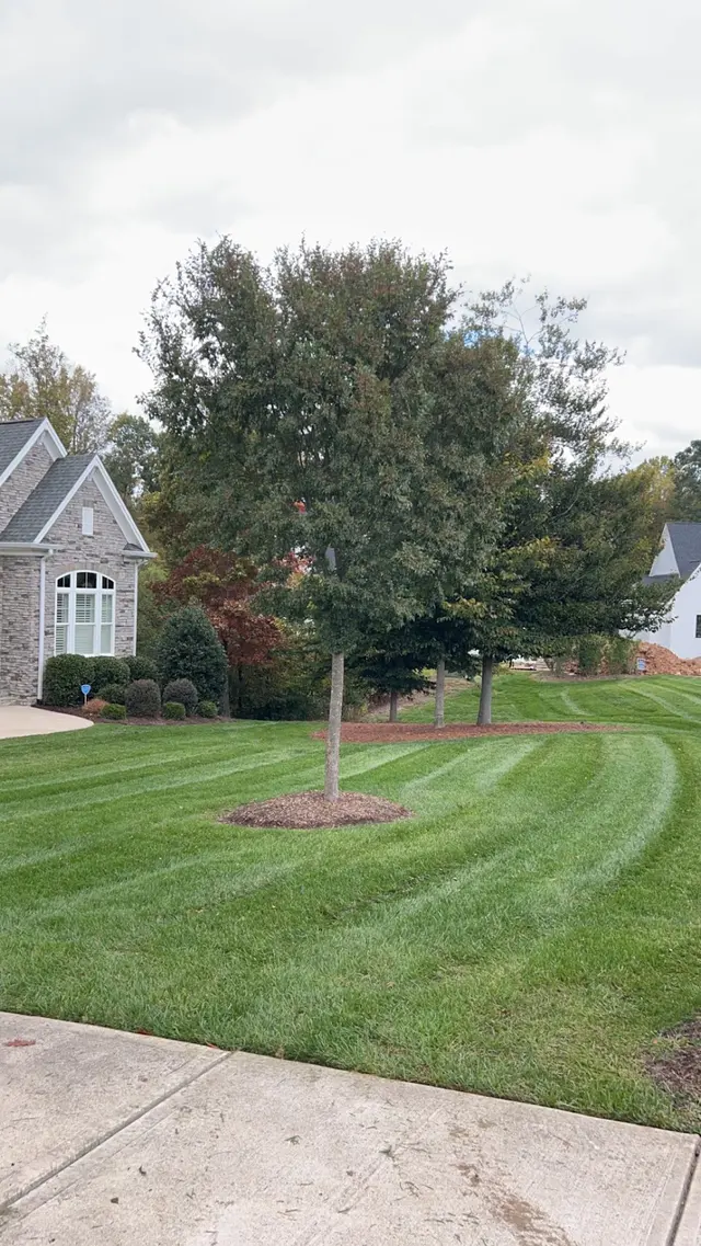 Envision Landscaping — photo from the business 8