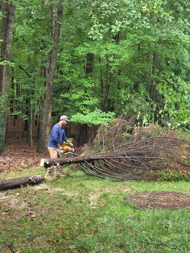 M&H Landscaping & Tree Services LLC — photo from the business 4
