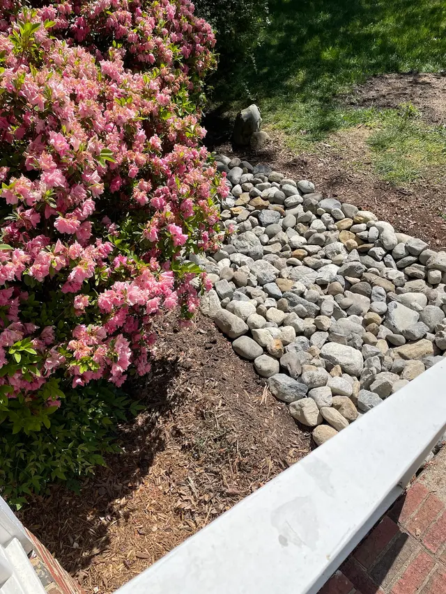 Customer photo from Dana's review